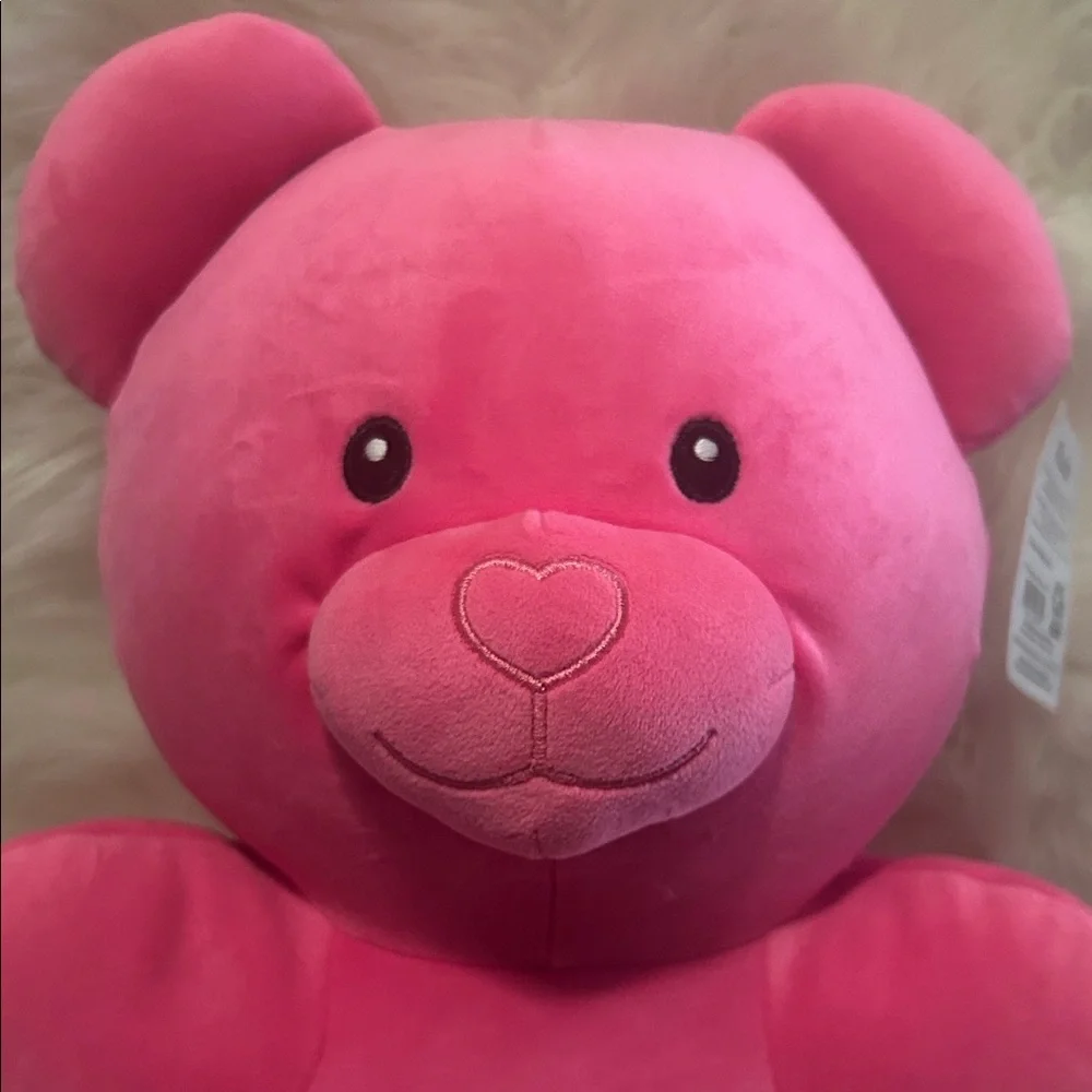 NWT Plush Pink Teddy Bear Stuffed Animal With Heart Nose - Picture 2 of 9
